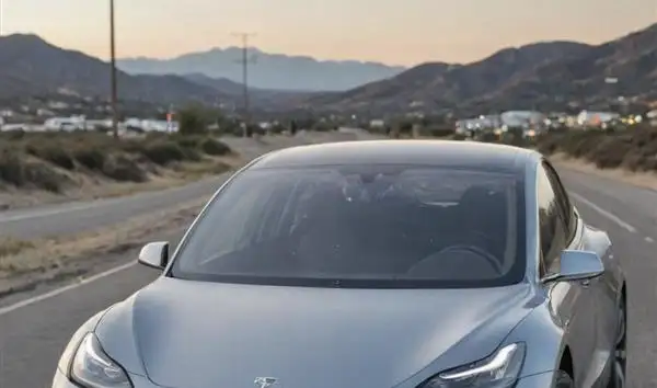 Analyzing the Tesla Model 3s Divisive Aesthetic