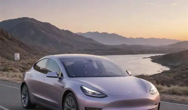 Maximizing the Tesla Model 3 Performance's Efficiency and Range