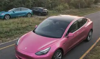 Life-Changing Moments Discovered by Tesla Model 3 Owners