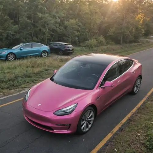 Life-Changing Moments Discovered by Tesla Model 3 Owners