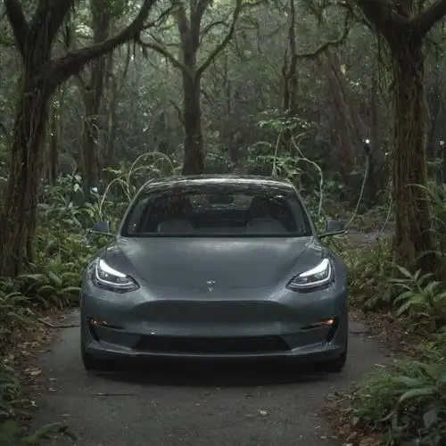 Tesla Model 3 - Uncover the game-changing technique that revolutionizes how you charge your Tesla Model 3.