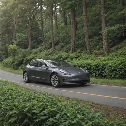 The Sustainable and Eco-Friendly Design Choices of the Tesla Model 3