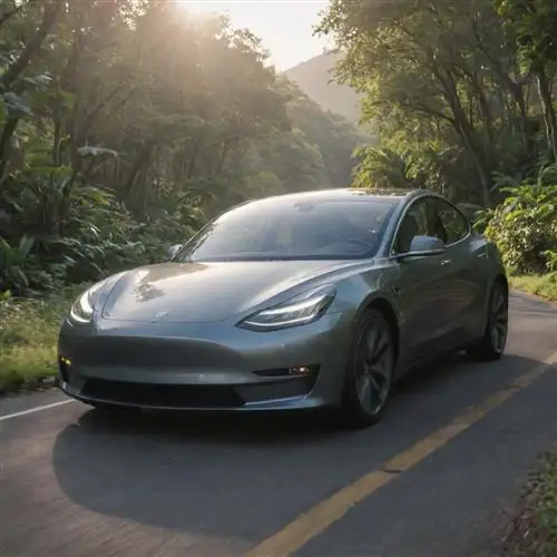 Utilize Tesla Model 3s Energy-Saving Features